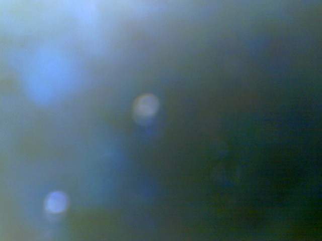 Fish Cam!